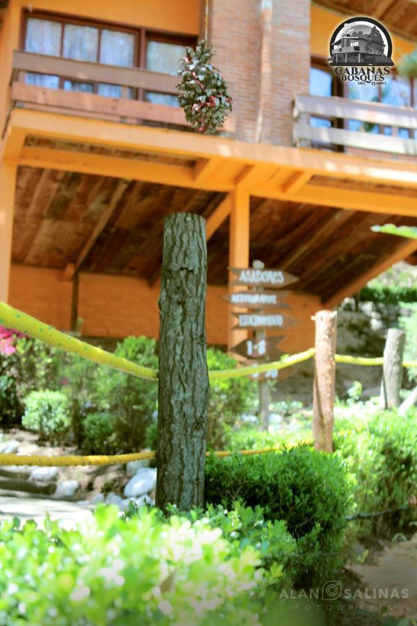 Cabanas Los Bosques Del Zembo Huasca de Ocampo Luaran gambar