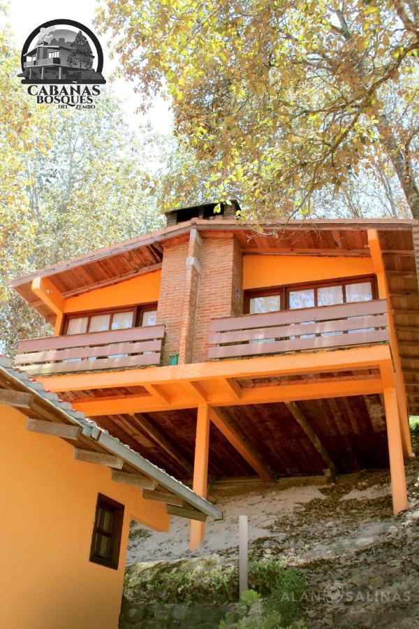 Cabanas Los Bosques Del Zembo Huasca de Ocampo Luaran gambar