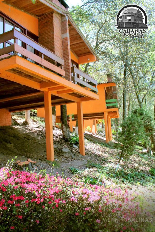 Cabanas Los Bosques Del Zembo Huasca de Ocampo Luaran gambar