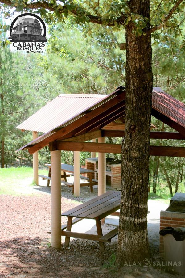 Cabanas Los Bosques Del Zembo Huasca de Ocampo Luaran gambar