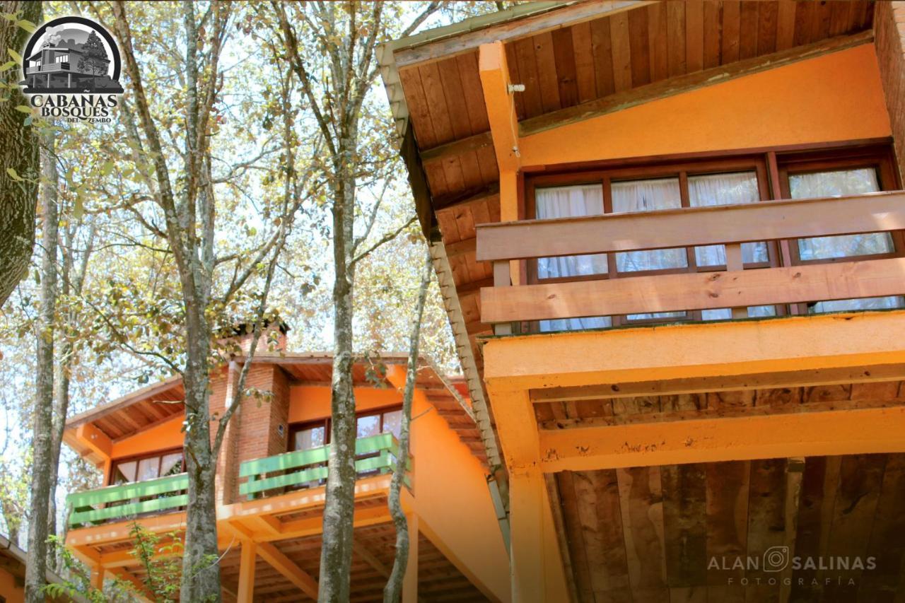 Cabanas Los Bosques Del Zembo Huasca de Ocampo Luaran gambar