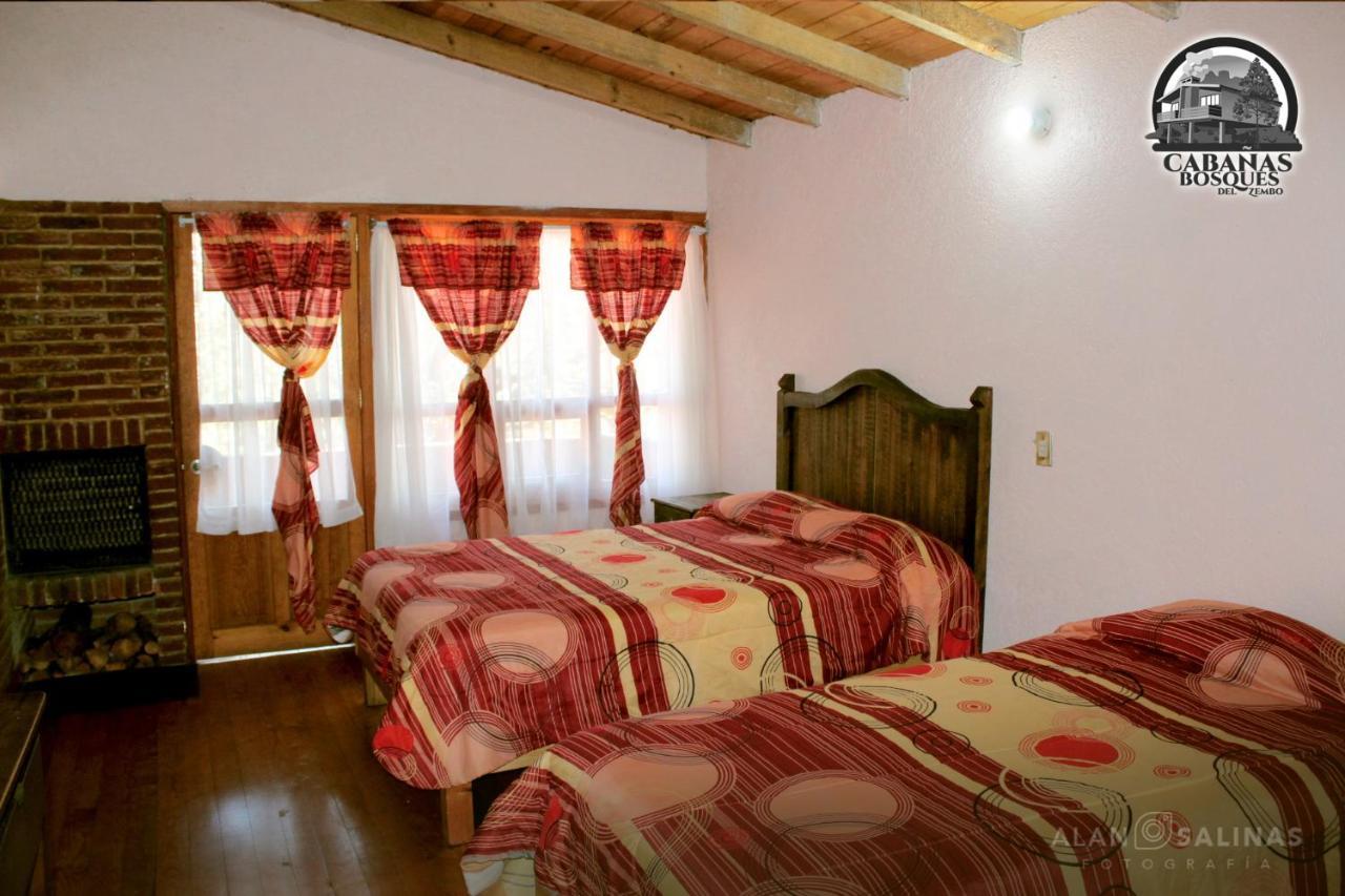 Cabanas Los Bosques Del Zembo Huasca de Ocampo Luaran gambar