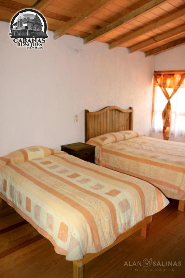 Cabanas Los Bosques Del Zembo Huasca de Ocampo Luaran gambar