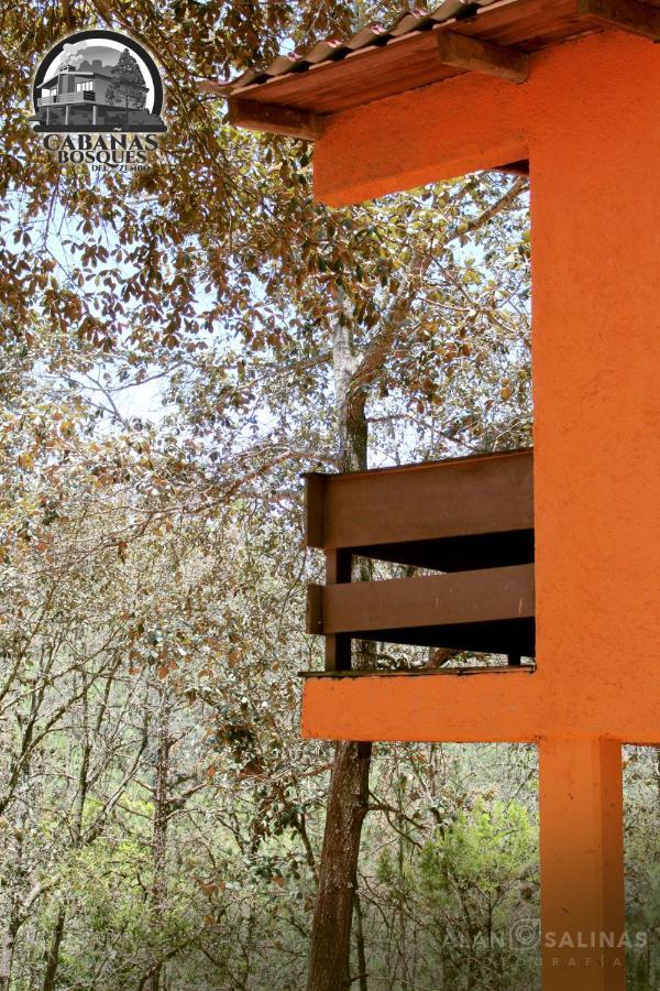 Cabanas Los Bosques Del Zembo Huasca de Ocampo Luaran gambar