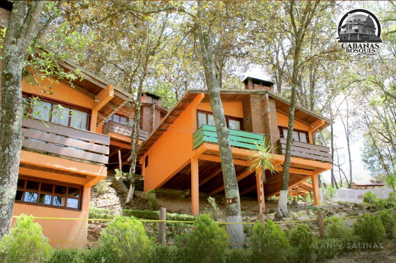 Cabanas Los Bosques Del Zembo Huasca de Ocampo Luaran gambar