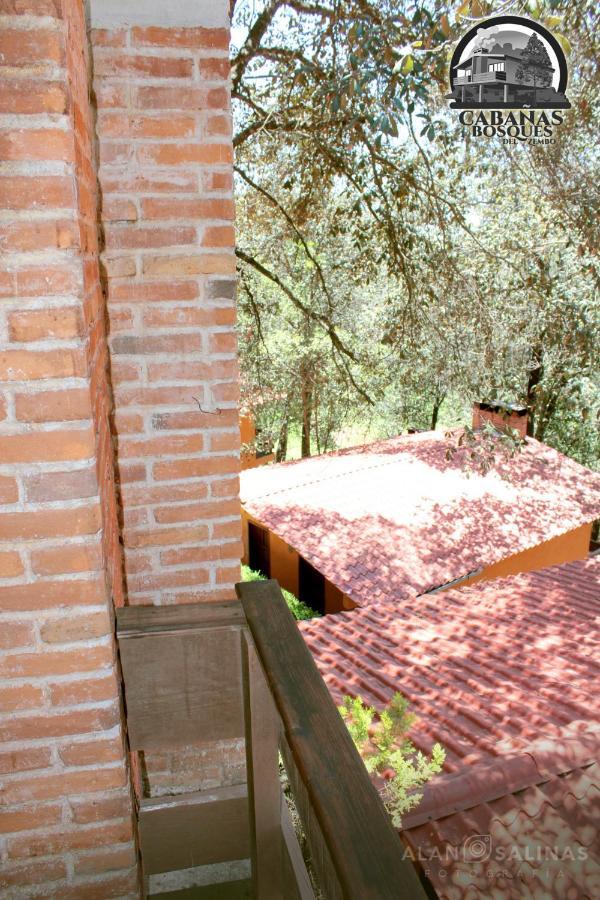 Cabanas Los Bosques Del Zembo Huasca de Ocampo Luaran gambar