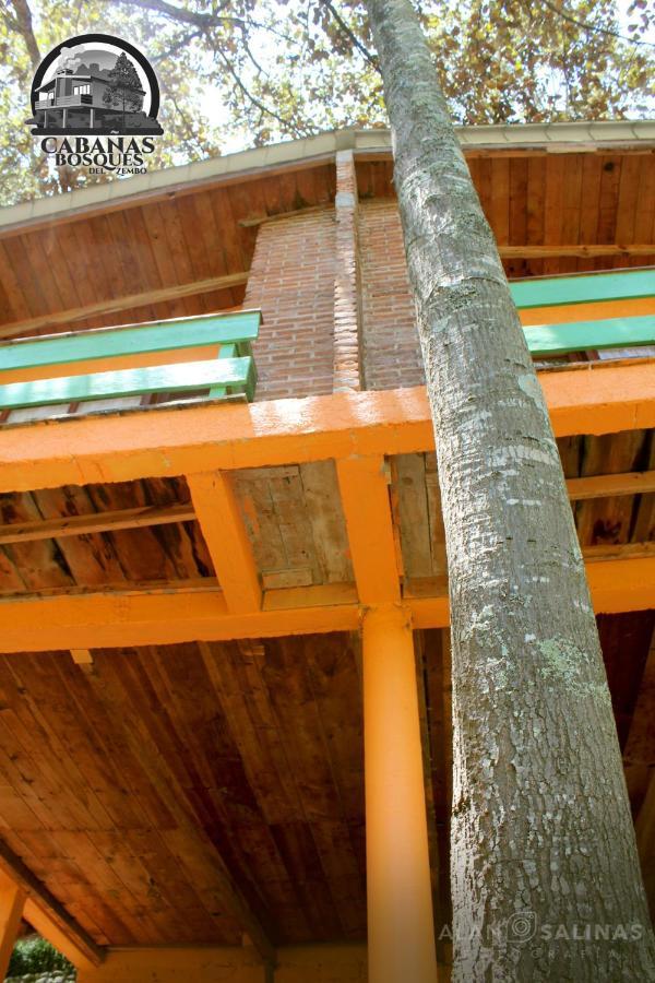 Cabanas Los Bosques Del Zembo Huasca de Ocampo Luaran gambar
