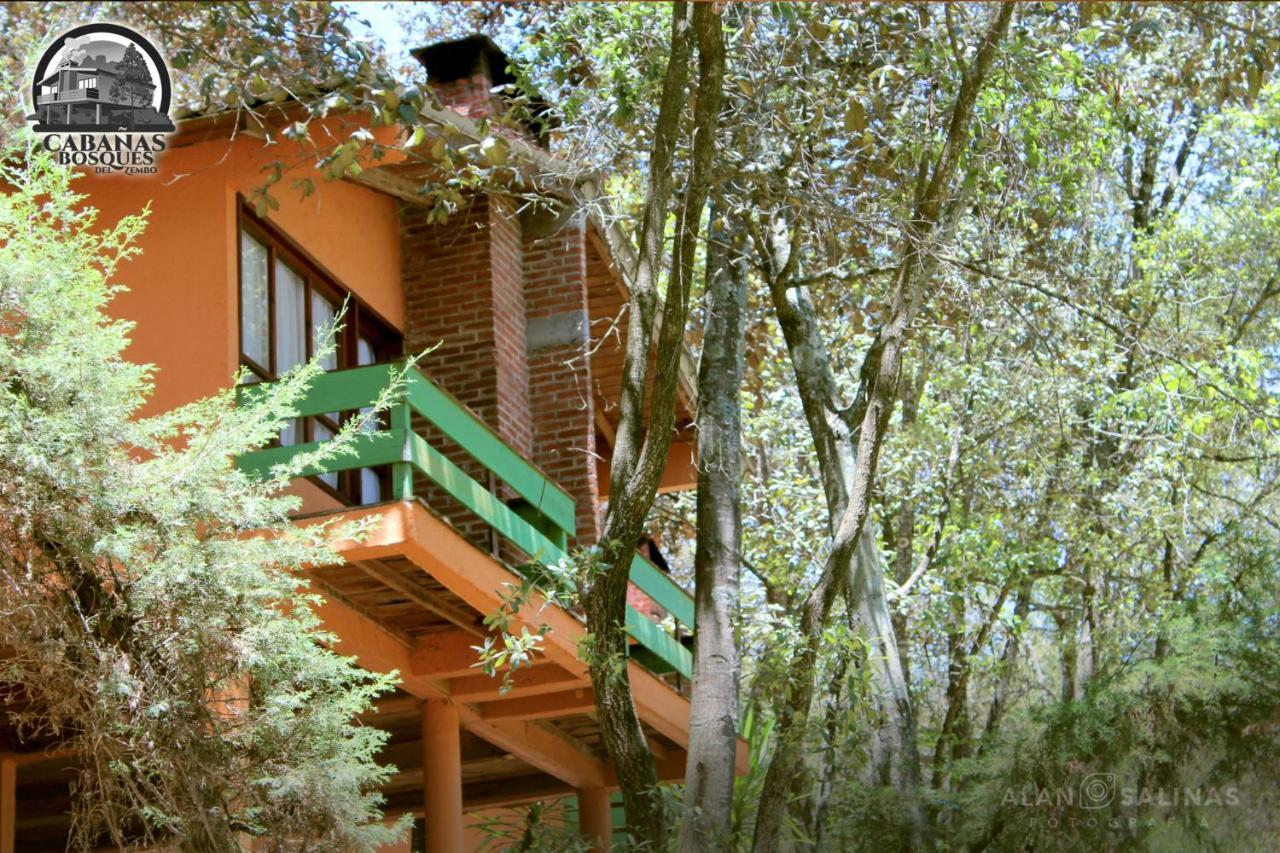 Cabanas Los Bosques Del Zembo Huasca de Ocampo Luaran gambar