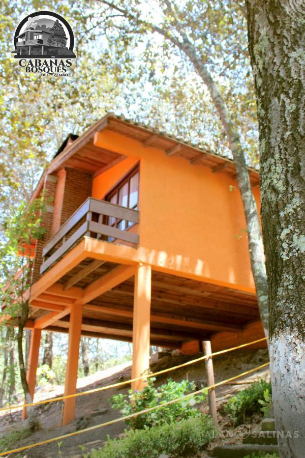 Cabanas Los Bosques Del Zembo Huasca de Ocampo Luaran gambar