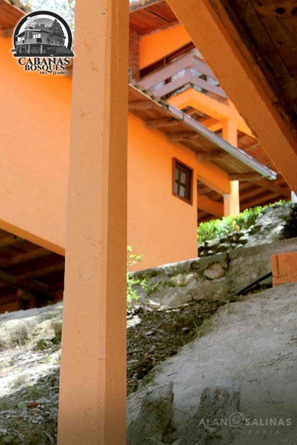 Cabanas Los Bosques Del Zembo Huasca de Ocampo Luaran gambar