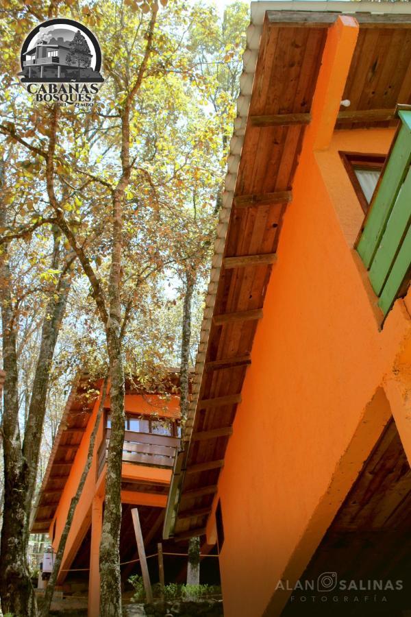 Cabanas Los Bosques Del Zembo Huasca de Ocampo Luaran gambar
